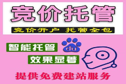 百度竞价推广公司成功经验分享：广告投放的技巧与策略