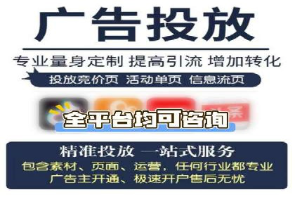某行业巨头如何利用百度推广服务费提升业绩
